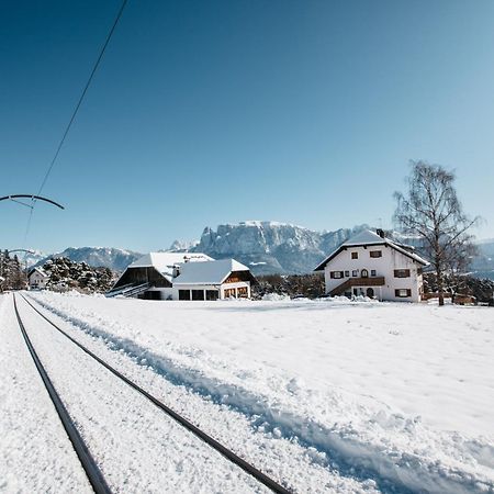 Alpin Farm Linde - Oberweidacherhof 克拉博 外观 照片