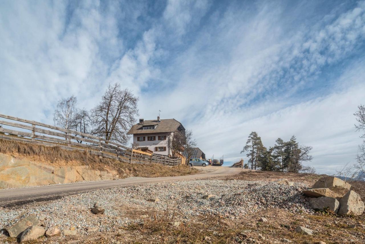 Alpin Farm Linde - Oberweidacherhof 克拉博 外观 照片
