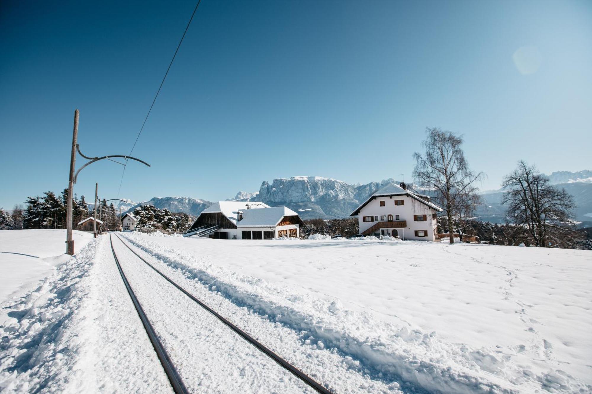 Alpin Farm Linde - Oberweidacherhof 克拉博 外观 照片